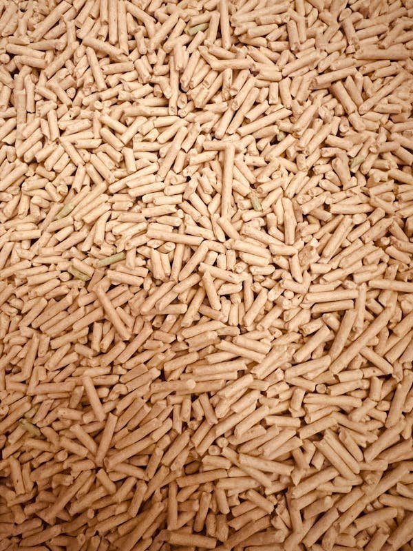 Découvrez pourquoi les pellets combustibles sont l'avenir durable